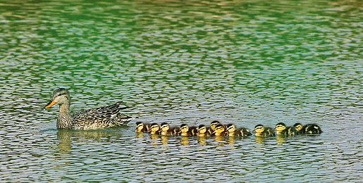 冲向宇宙！《晃晃人生》1.0正式版携太空更新震撼上线！